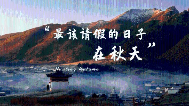 逃离木质的房屋