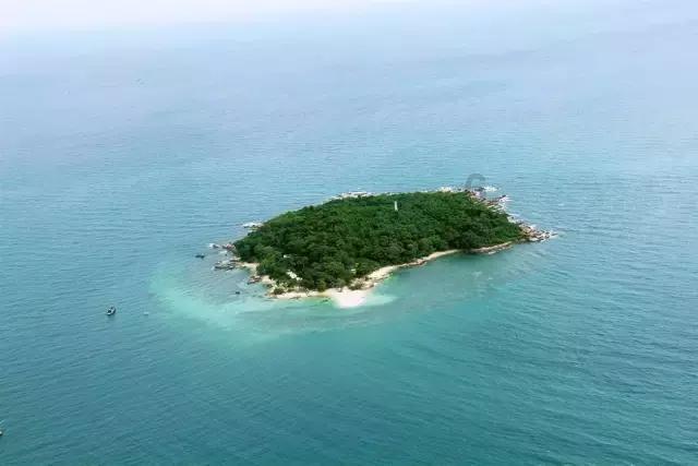 逃出林中村