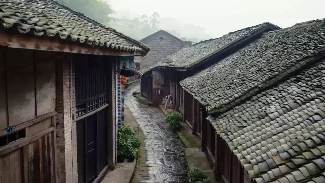 又一部悬疑剧来袭,李路亲自操刀,阵容炸裂,辛芷蕾范伟仅当配角