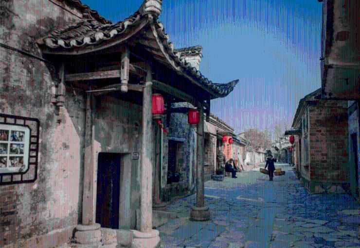 患有渐冻症的妈妈出门不小心摔倒,倒地时头部砸到狗狗身上做缓冲