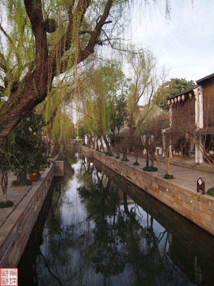 学习插花艺术